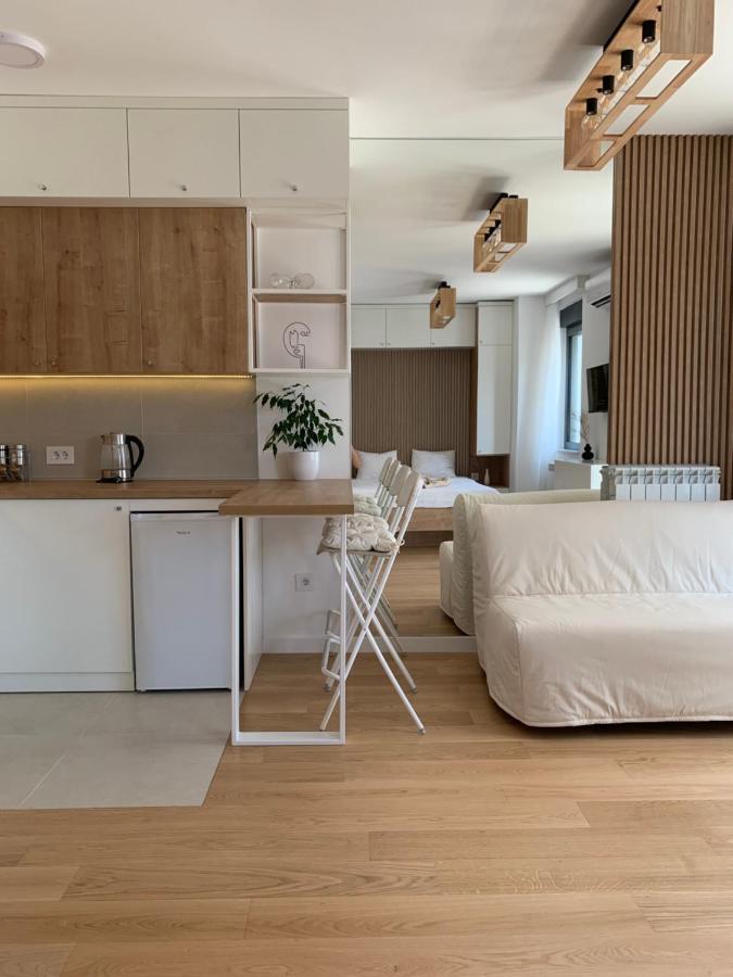 Selena Apartment Belgrade Luaran gambar